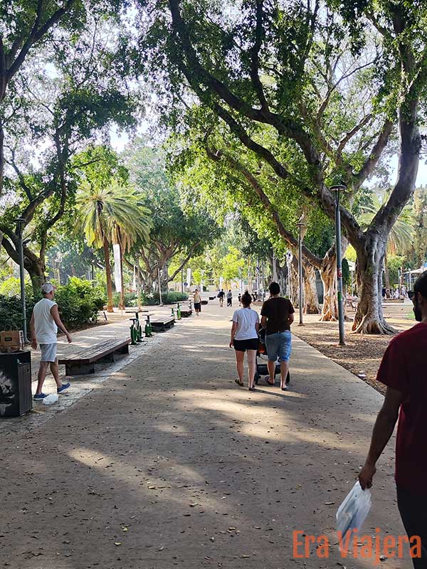 Caminata por un parque en Tel Aviv