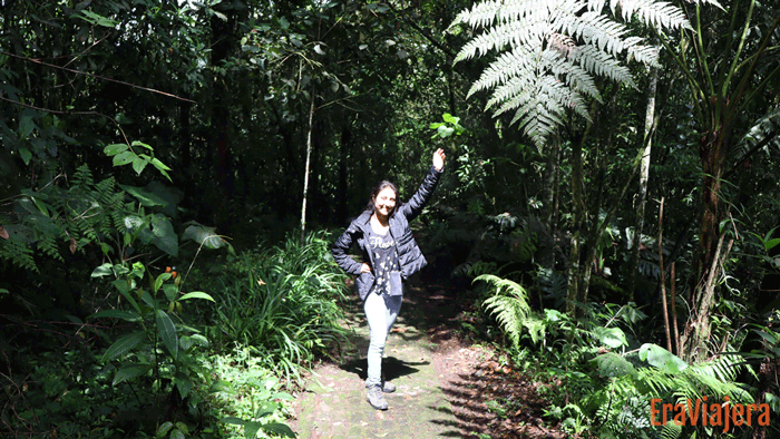 Parque Arví en Medellín