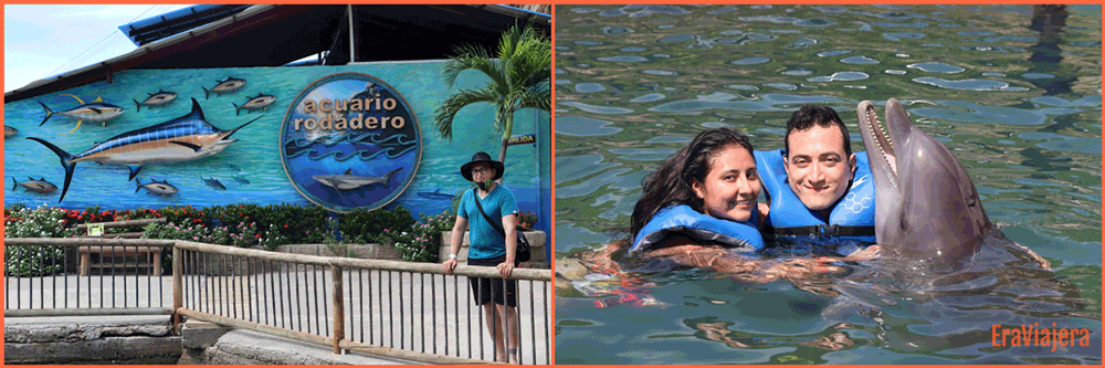 Acuario y Museo del Mar centro de Vida Marino