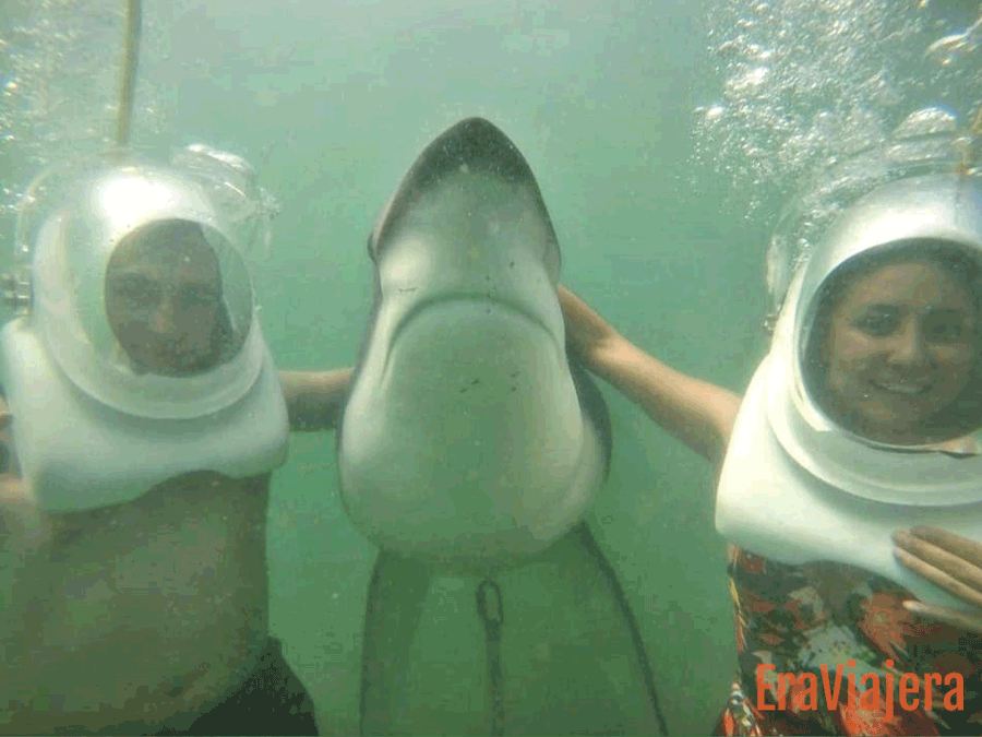 Aquanauta en Santa Marta