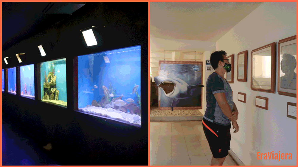 Acuario mundo marino de Santa Marta