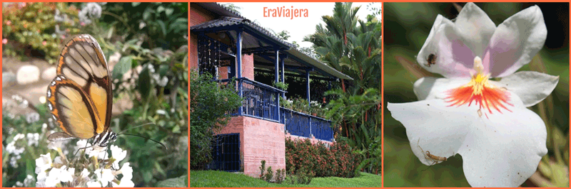 Finca de Orquídeas en la Finca Romelia