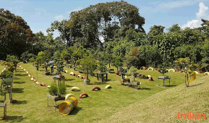 Parque los Yarumos en Manizales