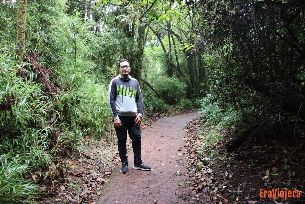 Bosque Nuboso de Monteverde en Costa Rica